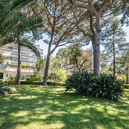 Jlp Tanit Gebal Climatise Apartment